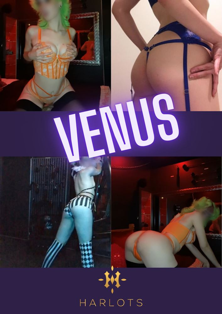Venus 0480 089 850, Civic