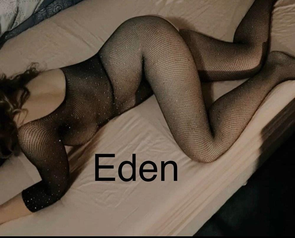 Eden, Newcastle West — photo 3