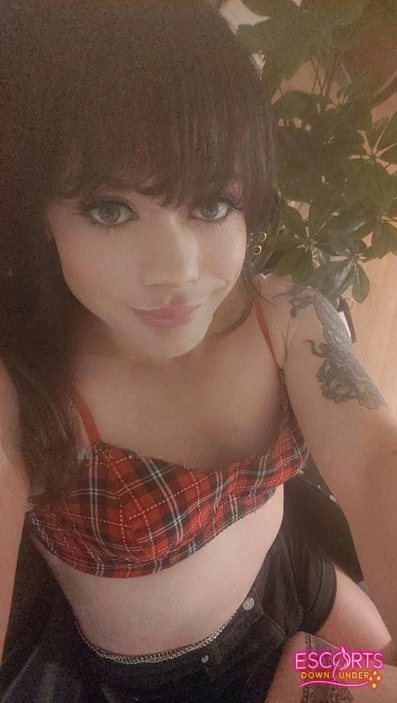 TRANS 8INCHS HAILEY STARFIRE MANDURAH, Perth CBD — photo 10