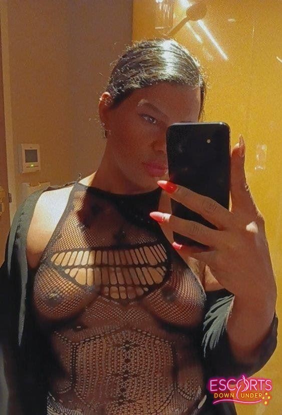 TS Havana Foxx, Waterloo — photo 3