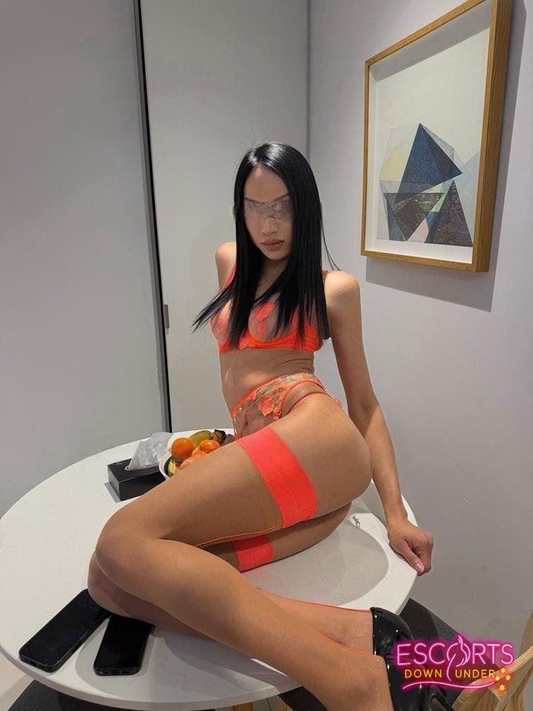 New in town hot ladyboy from Thai, Perth CBD — photo 10