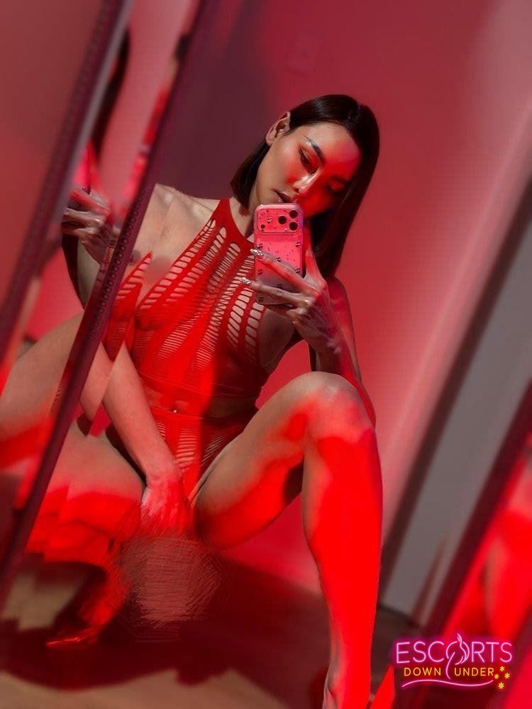 HOT TRANS BELLA 88, Marden — photo 11