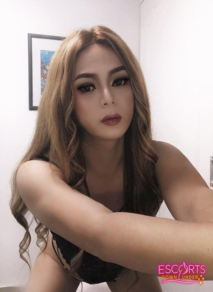 TS Only text Sexy ladyboy available for sexy time, Sydney CBD — photo 11
