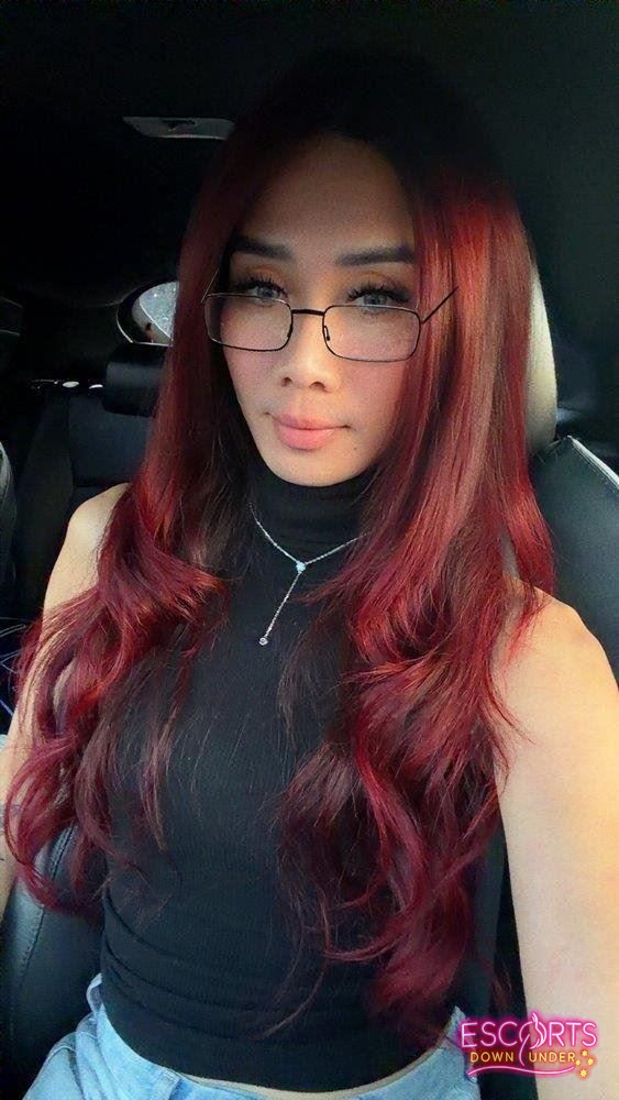 Viet Trans, Sunshine