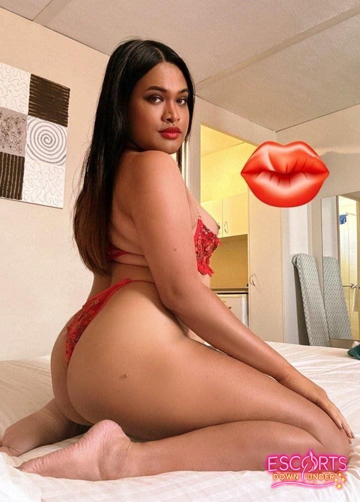 YOUR TRANS BABE ALLI, Parramatta